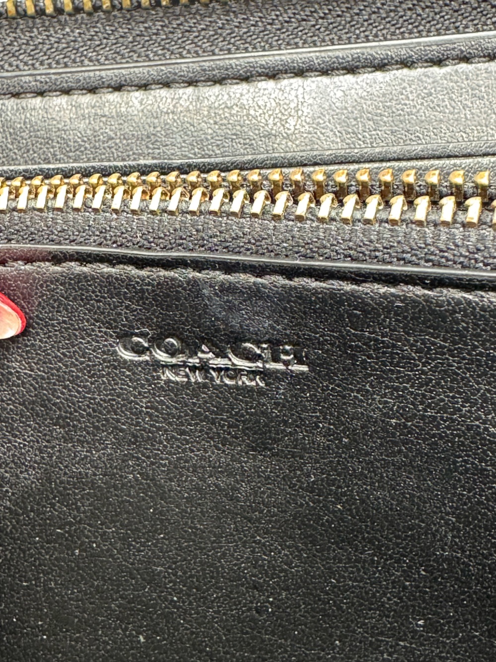 Coach Accordion Zip Wallet in Pebble Leather with Python Detail - Picture 9 of 10